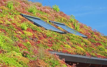 Kelsick living roof systems