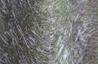 Kelsick fibreglass roof work